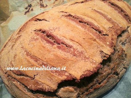 Pane semintegrale con grano saraceno