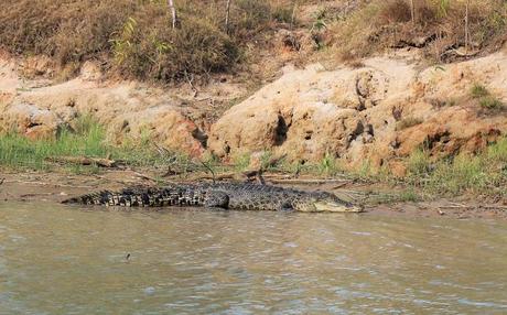 Australia. Il Northern Territory, tra wallabe, tramonti in spiaggia e silenzi da ricordare.