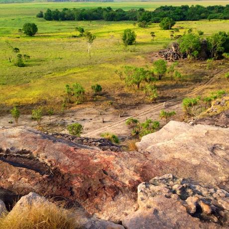 Australia. Il Northern Territory, tra wallabe, tramonti in spiaggia e silenzi da ricordare.