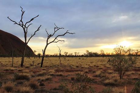 Australia. Il Northern Territory, tra wallabe, tramonti in spiaggia e silenzi da ricordare.