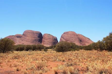 Australia. Il Northern Territory, tra wallabe, tramonti in spiaggia e silenzi da ricordare.