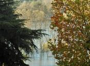 river flows