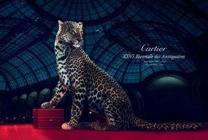 La Pantera di Cartier: storytelling sul prodotto