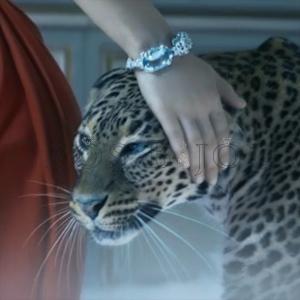 La Pantera di Cartier: storytelling sul prodotto