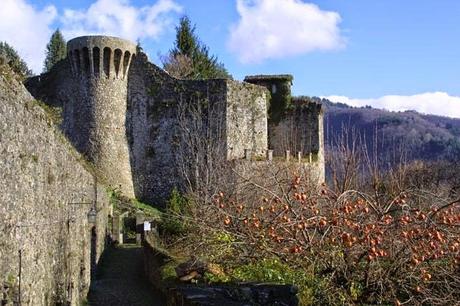 La Garfagnana ed il suo Farro: un binomio inossidabile