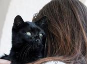 GATTO NERO Black ....