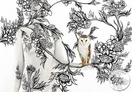 Birds of a Feather Collection