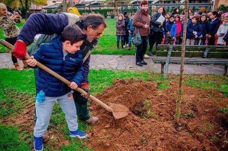 Il 21 Novembre si festeggia a Brescia la  “Giornata degli alberi”