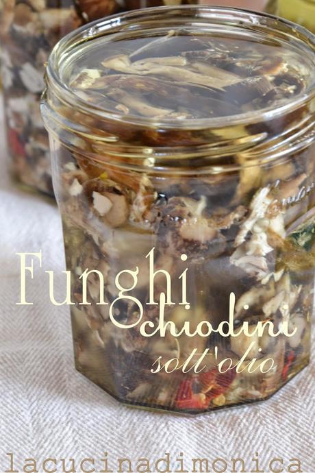 funghi chiodini sott'olio