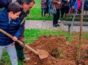 giornata degli alberi