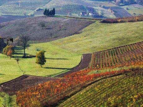 Colline astigiane