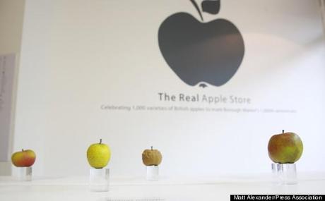 o-REAL-APPLE-STORE-570