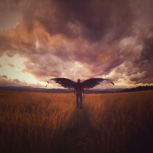 Joel Robison - Migration