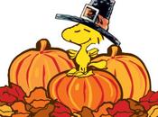 A.A.A. Libro Cercasi