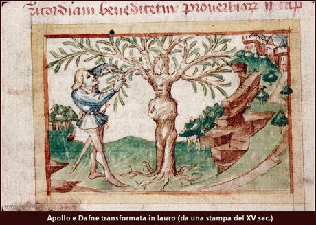 Apollon et Daphné transformée en laurier (France, XVe siècle).