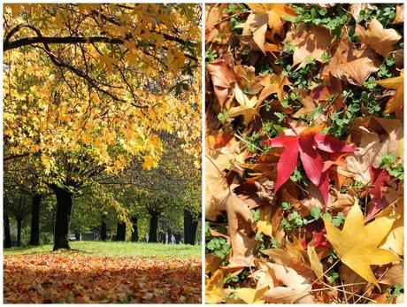 Minestra di lenticchie con zucca, broccoli e barbabietola