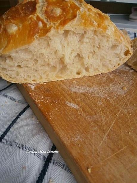 No Knead Bread - Pane Senza Impasto