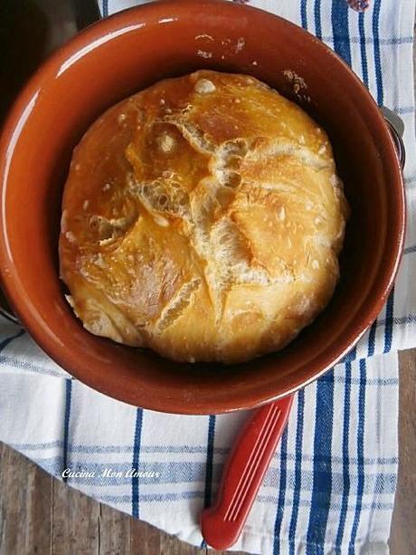 No Knead Bread - Pane Senza Impasto