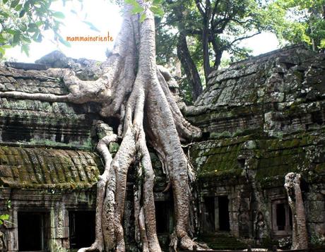 La Cambogia che ti entra dentro in 24 ore: la città di Angkor