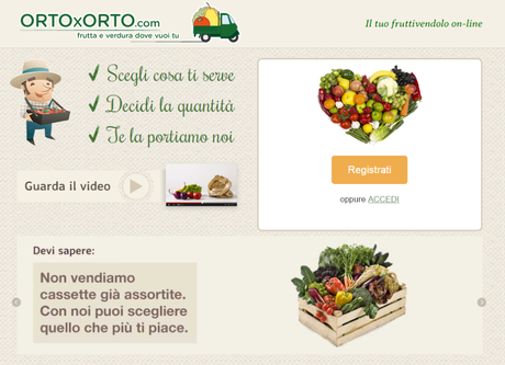 Ortoxorto