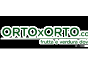 Ortoxorto.com