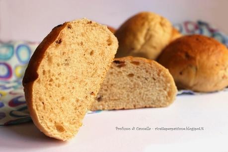 Panini morbidi con le gocce di cioccolato - genuina bontà