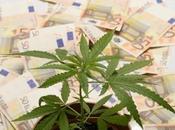 MARIJUANA Ecco sostanze tossiche mafia “allunga” l’erba