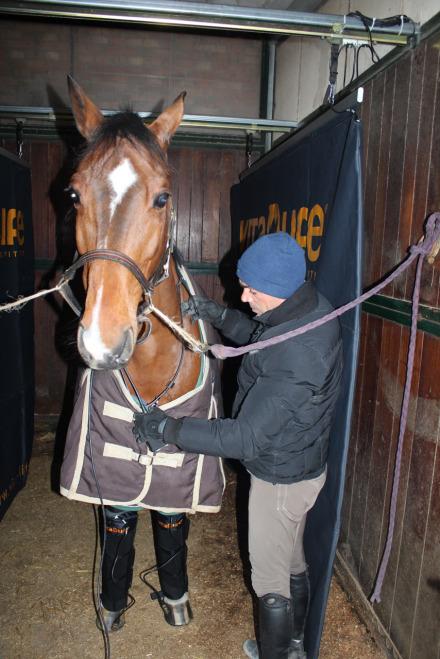 Alberto Boscarato, Direttore della Scuola Padovana di Equitazione, cavalca per VITA LIFE in occasione di Jumping Parma