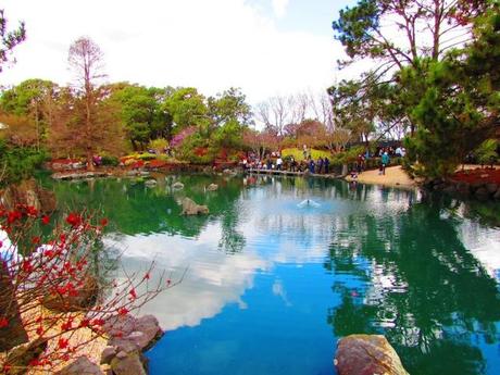 Giardini botanici di Auburn - Sydney, Australia