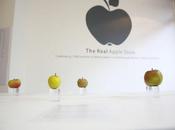 Real Apple Store
