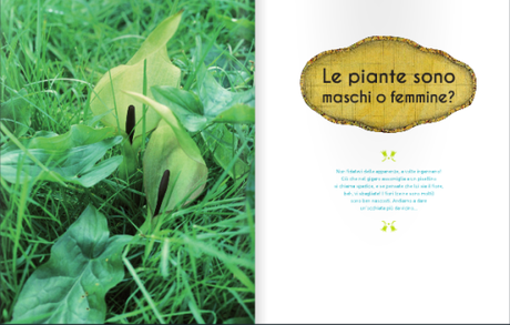 Il mondo segreto delle piante, Jeanne Failevic,  Véronique Pellissier, Cécile Gambini - 2014, Editoriale Scienza