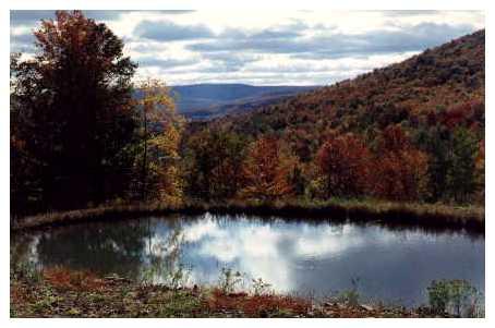 John Wasak - Catskill Pond