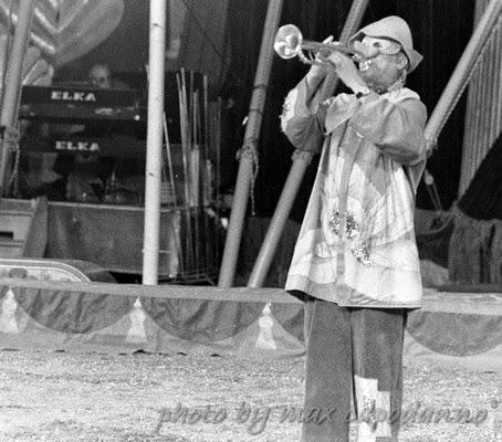 Il Circo ...  un sogno meraviglioso per bimbi e ... grandi