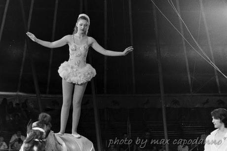 Il Circo ...  un sogno meraviglioso per bimbi e ... grandi