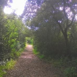 Parco Degli Uccelli; sentiero - Ph Simona Vitagliano