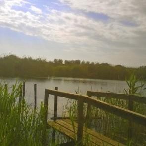 Parco Degli Uccelli: il laghetto - Ph Simona Vitagliano