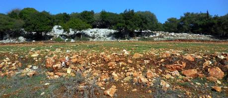 Rosh HaNikra: al nord estremo