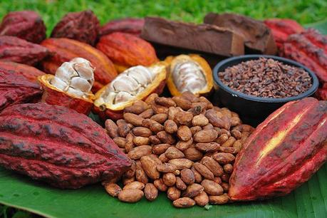 LE VIRTU’ E I DIFETTI DEL CACAO E DEL CIOCCOLATO