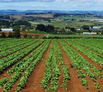 A Varese finanziati i progetti per l’agricoltura