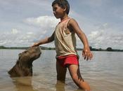 giudice brasiliano blocca costruzione controversa centrale idroelettrica nella foresta amazzonica