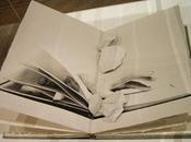 autore bruciato dalla casa editrice