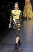 Dolce & Gabbana donna a/i 2011/12: Review