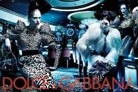 Dolce & Gabbana a/i 2009/2010