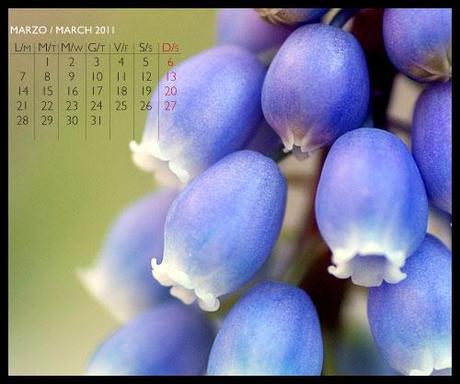 Marzo: sfondo scrivania e calendario / March: wallpaper and desk calendar