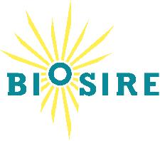 A Venezia vaporetti al biodisel con il progetto europeo Biosire