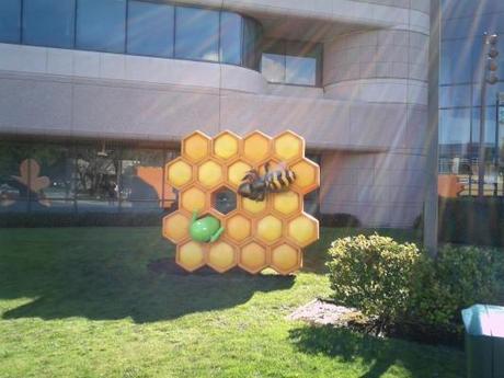 Android Honeycomb arriva al Google Plex!