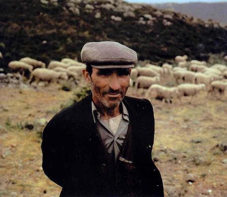 pastore sardo La caciotta