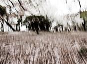 tappeto Primavera carpet Spring