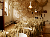 Corn-Craft _allestimenti Toogood