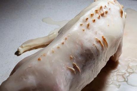 IL CANE (DI CERA) SI DECOMPONE...SI CHIAMA ARTE